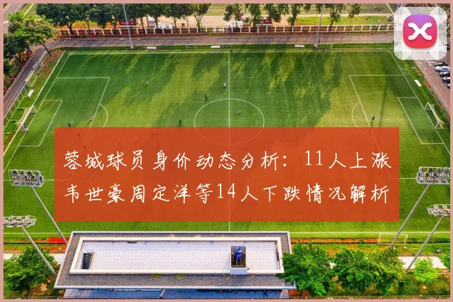 蓉城球员身价动态分析：11人上涨韦世豪周定洋等14人下跌情况解析